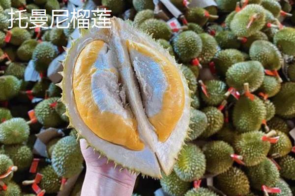 榴莲如何催熟，可以采用包裹催熟法