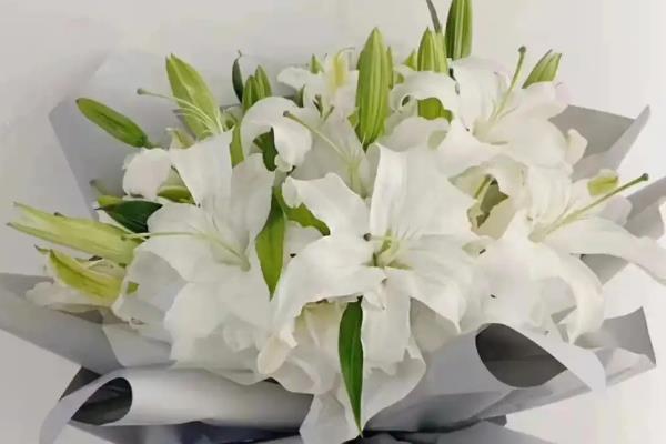 女王节可以赠送哪些花卉，康乃馨、百合花、玫瑰花等品种是适宜选择