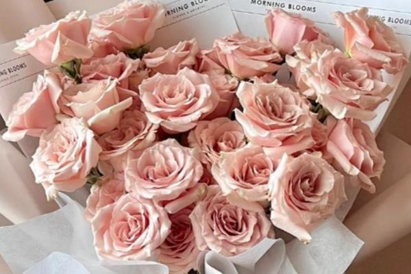 女王节可以赠送哪些花卉，康乃馨、百合花、玫瑰花等品种是适宜选择