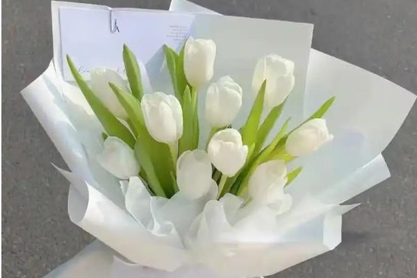 女王节可以赠送哪些花卉，康乃馨、百合花、玫瑰花等品种是适宜选择
