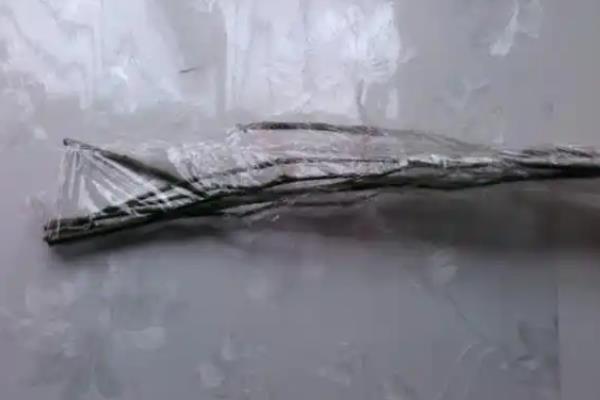 素心腊梅的叶片有何特点，呈圆形、长圆形等形状