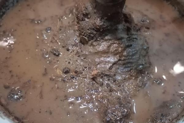 素心腊梅的叶片有何特点，呈圆形、长圆形等形状