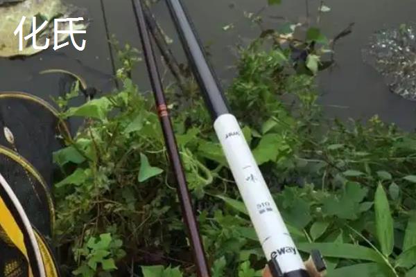 5.4米的鱼竿有多少节,台钓竿一般是5节、溪流竿一般是8-17节