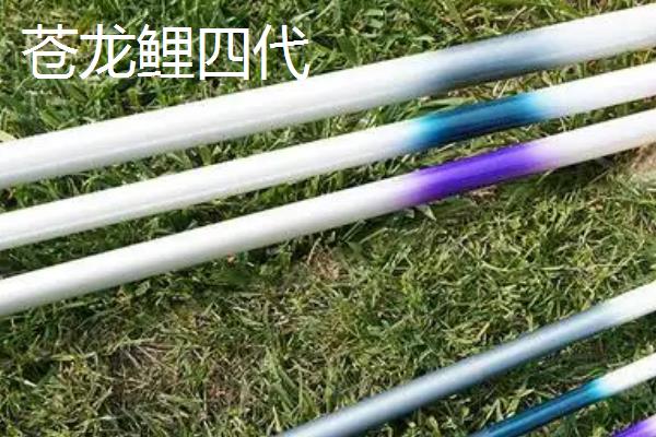 黑坑鱼竿推荐品牌，黑坑终结者三代、擒龙黑坑版等品牌值得选择