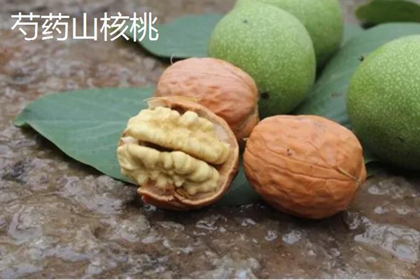 山东潍坊市有什么特色水果，昌乐西瓜以早、大、甜的特点而声名远扬