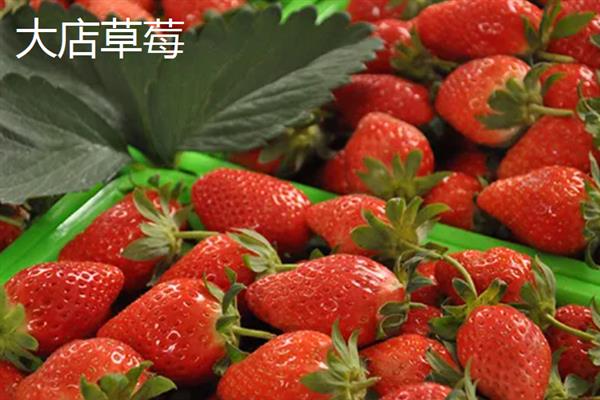 山东潍坊市有什么特色水果，昌乐西瓜以早、大、甜的特点而声名远扬