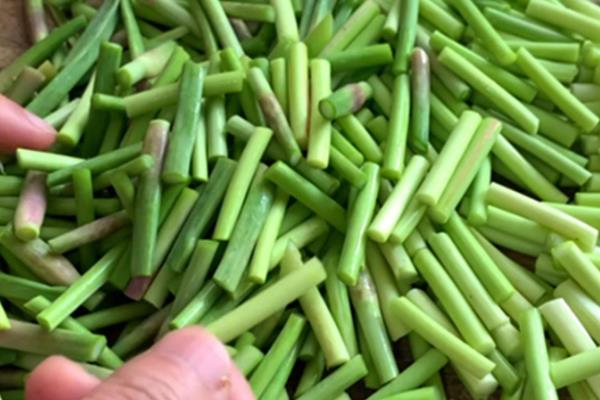 蒜苔能不能用冰箱保存，保鲜层的温度以2-4℃为宜