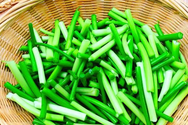 蒜苔能不能用冰箱保存，保鲜层的温度以2-4℃为宜