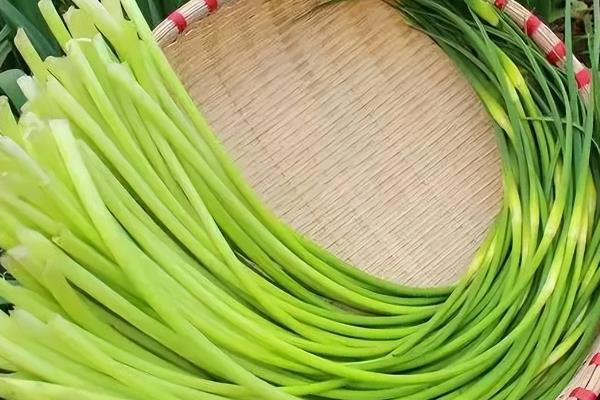 蒜苔能不能用冰箱保存，保鲜层的温度以2-4℃为宜