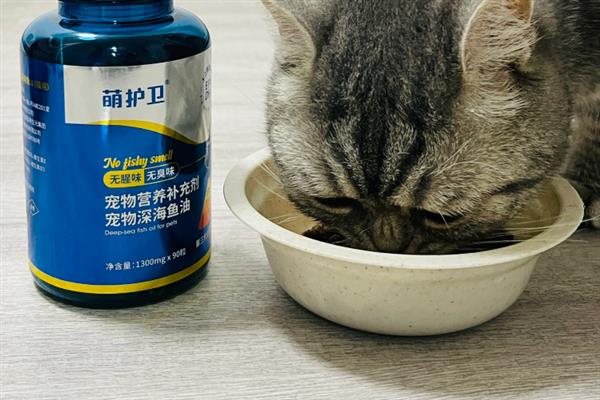 给猫咪饲喂鱼油的好处，可以有效改善猫咪的免疫系统