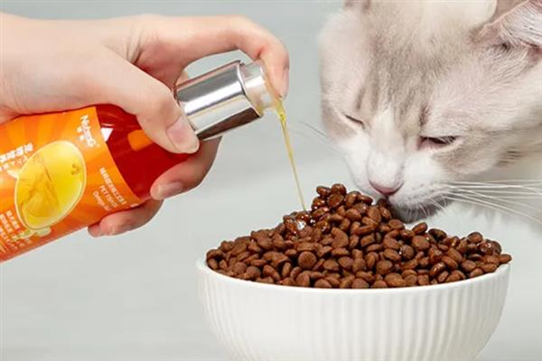 给猫咪饲喂鱼油的好处，可以有效改善猫咪的免疫系统
