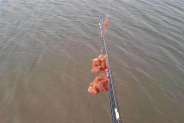 钓鱼没有口的原因，主要是时机不对、钓位不好、饵料不合适造成