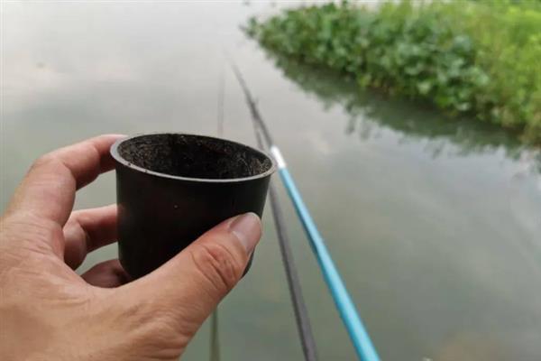 钓鱼没有口的原因，主要是时机不对、钓位不好、饵料不合适造成