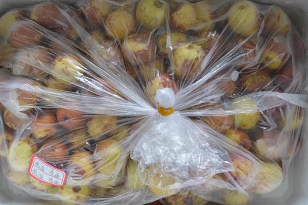 冬枣在几月成熟上市，一般在10-12月份的时候成熟
