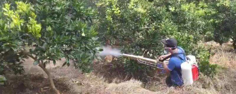 氯氟吡氧乙酸的残留期,一般可持续5-10天左右