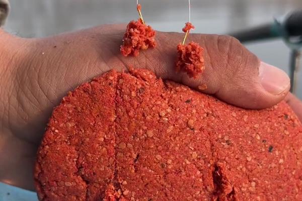 用爆炸钩钓鲤鱼的方法，竿尖急剧摆动或铃声大作时再扬竿收线