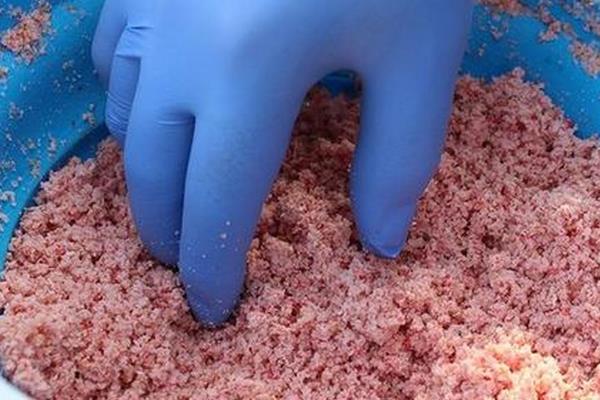 用爆炸钩钓鲤鱼的方法，竿尖急剧摆动或铃声大作时再扬竿收线