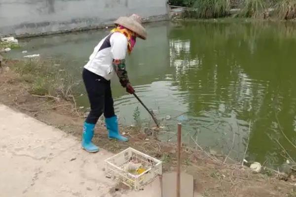 池塘缺氧能撒盐吗，池塘缺氧可以撒盐