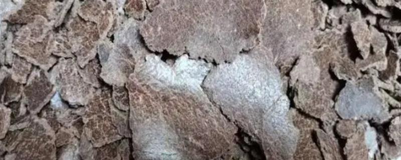 花生枯发酵做肥料的方法，装入发酵池中密封发酵一个月