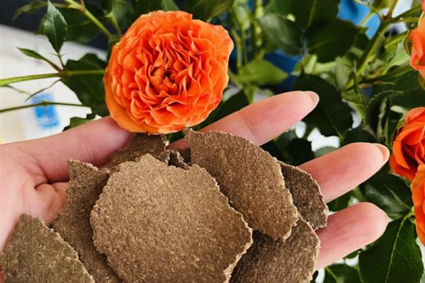 花生枯发酵做肥料的方法，装入发酵池中密封发酵一个月