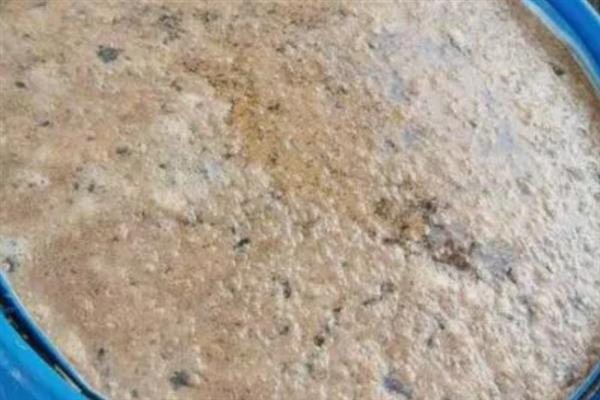 花生枯发酵做肥料的方法，装入发酵池中密封发酵一个月