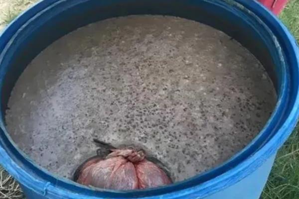 花生枯发酵做肥料的方法，装入发酵池中密封发酵一个月