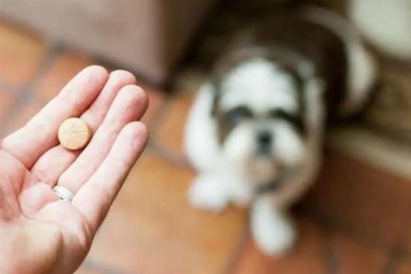 犬类风湿关节炎有什么症状，行走跛行、关节周围软组织肿胀