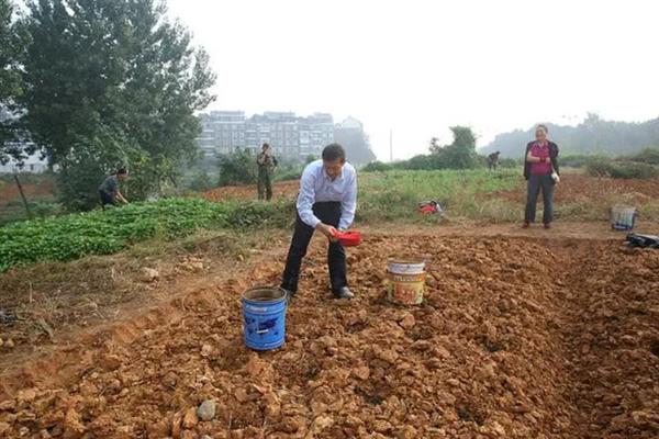 番茄的简介，具有西红柿、洋柿子等叫法