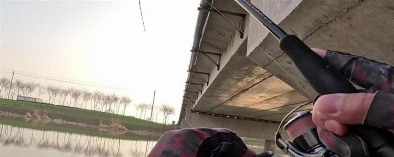 路亚钓翘嘴的技巧,可采用专用的路亚竿