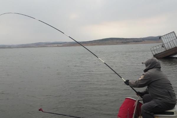 路亚钓翘嘴的技巧，可采用专用的路亚竿