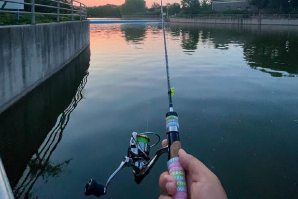 路亚钓翘嘴的技巧，可采用专用的路亚竿