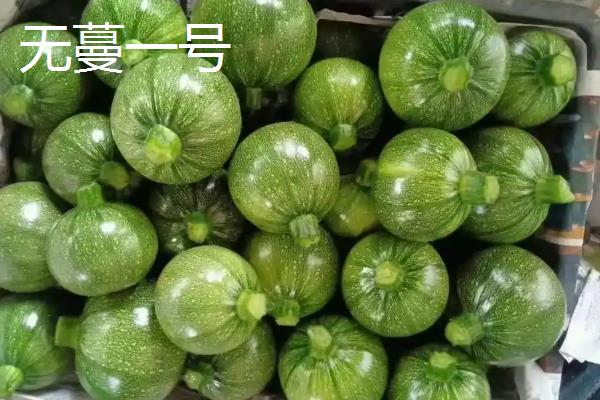 优质好吃的南瓜品种，常见的有五月早、蜜本等