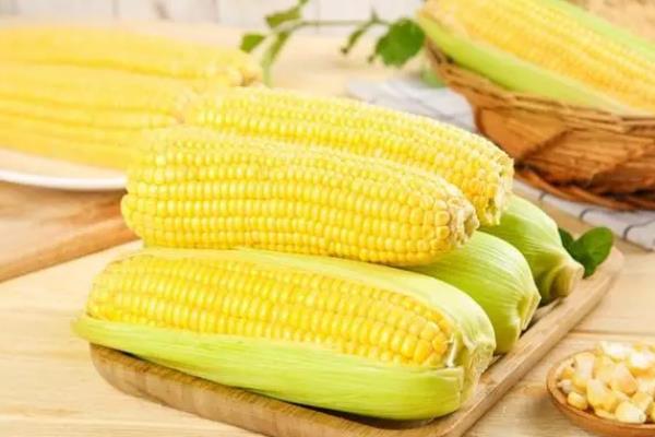 秋乐368的特征特性，夏播生长周期为102-104天左右