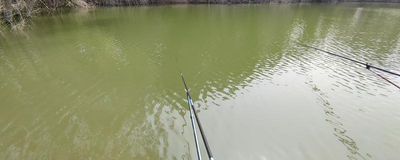 钓鱼什么时候提竿，出现顿口、送漂等漂相时抬竿有很高的中鱼率