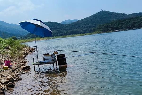早春怎么钓鱼，基本原则是有草钓草、无草钓杂