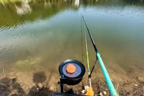 钓鱼什么时候提竿，出现顿口、送漂等漂相时抬竿有很高的中鱼率