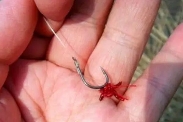 钓鱼什么时候提竿，出现顿口、送漂等漂相时抬竿有很高的中鱼率