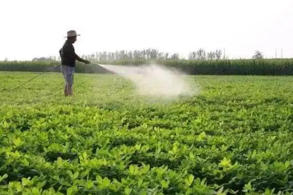 植物有哪些叶面肥，分为营养型、调节型等