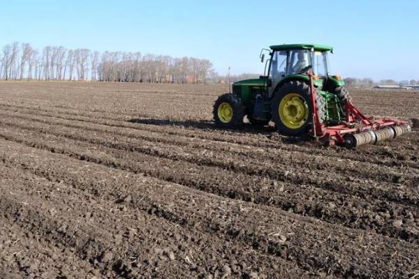 穿心莲的播种方法，磨去种皮蜡质、经过浸种催芽再播种
