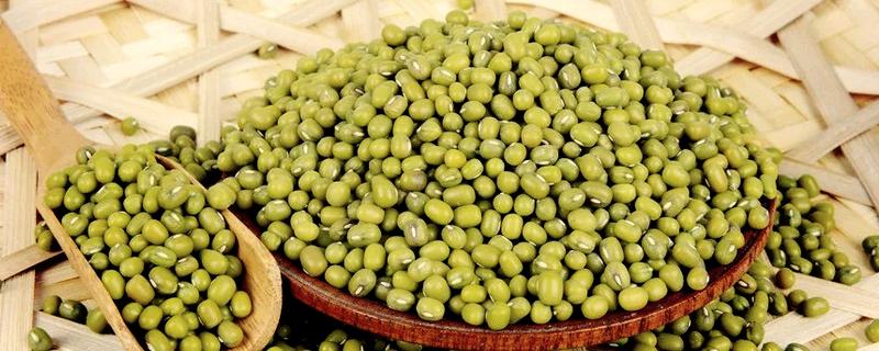 中国出名的绿豆产地，有白城绿豆、洮南绿豆等