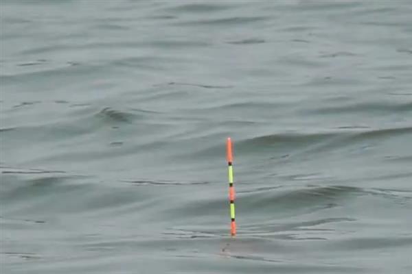 顿口漂相有什么特点,浮漂会出现有力的下顿动作