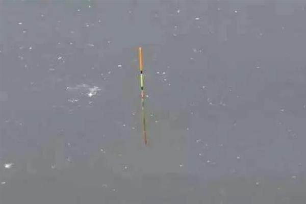 顿口漂相有什么特点,浮漂会出现有力的下顿动作