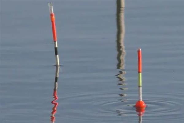 顿口漂相有什么特点,浮漂会出现有力的下顿动作