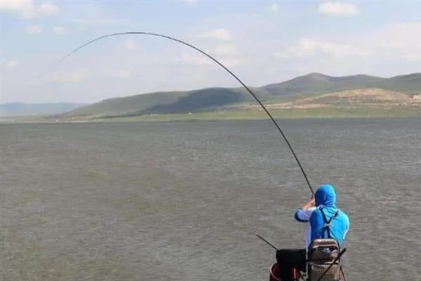 顿口漂相有什么特点,浮漂会出现有力的下顿动作