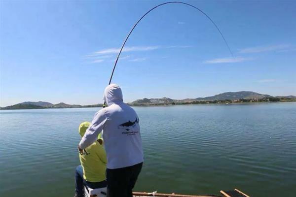 顿口漂相有什么特点,浮漂会出现有力的下顿动作