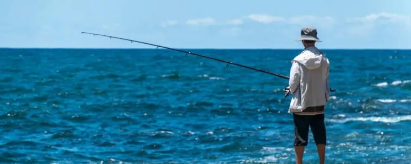 顿口漂相有什么特点,浮漂会出现有力的下顿动作