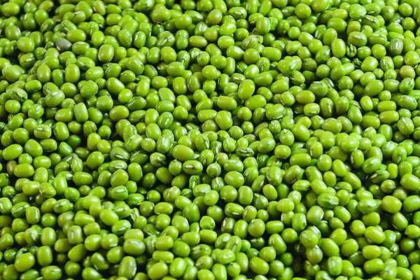 中国出名的绿豆产地，有白城绿豆、洮南绿豆等