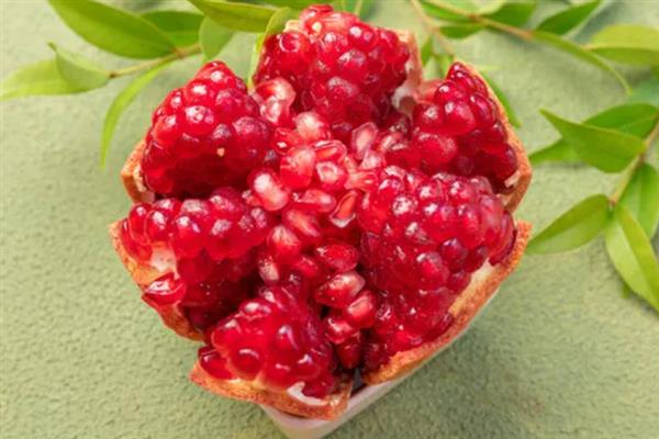 软籽石榴的特点，可食率和含糖量高、口感甘甜