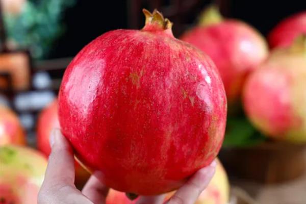 软籽石榴的特点，可食率和含糖量高、口感甘甜