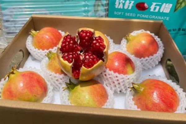 软籽石榴的特点，可食率和含糖量高、口感甘甜